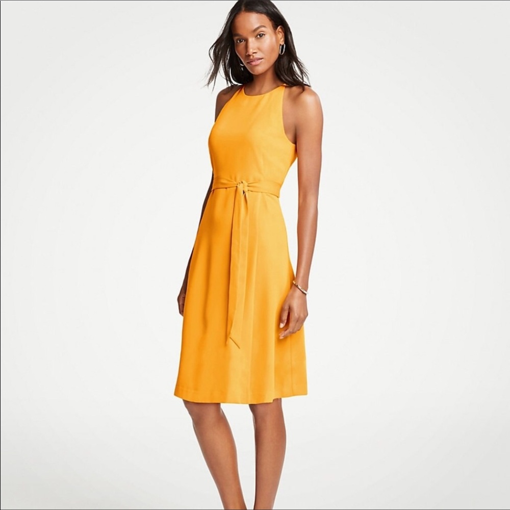 Ann Taylor Dress